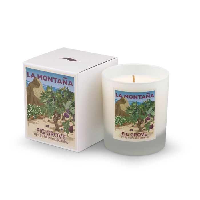 Fig Grove candle
