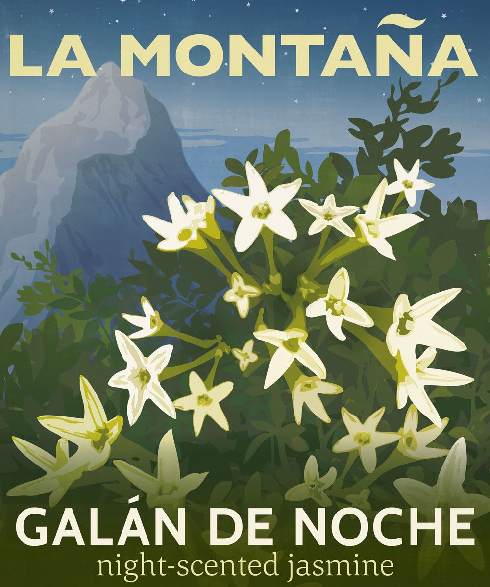 Galán De Noche room mist