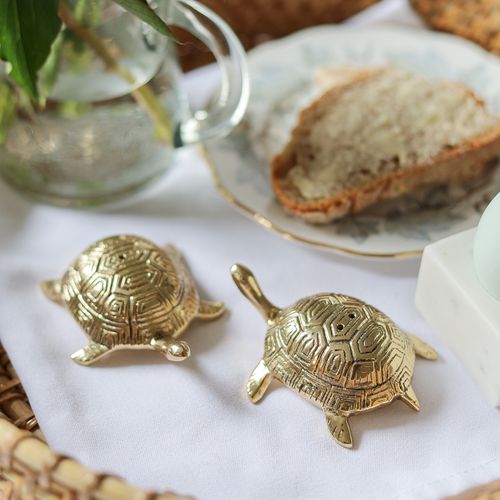 Brass Turtle Salt and Pepper Set