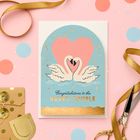 *New* Shelby Warwood Collection