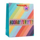 New Everyday Gift Bags