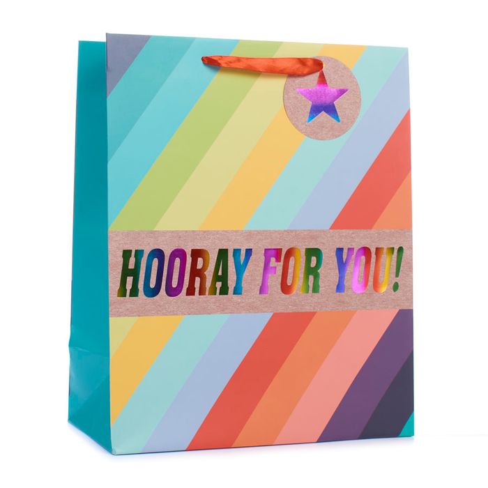 New Everyday Gift Bags