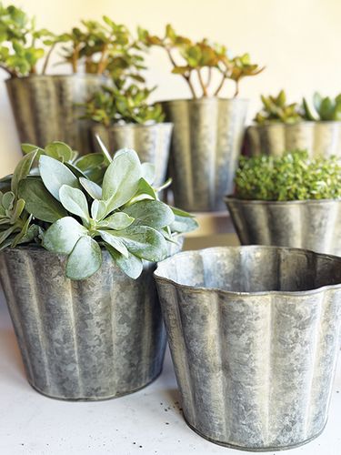 Fluted Zinc Planters