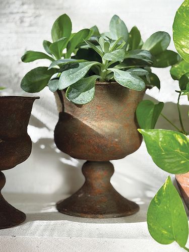 Rust-coloured Urns & Planters