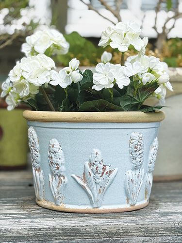 Hyacinth Pot