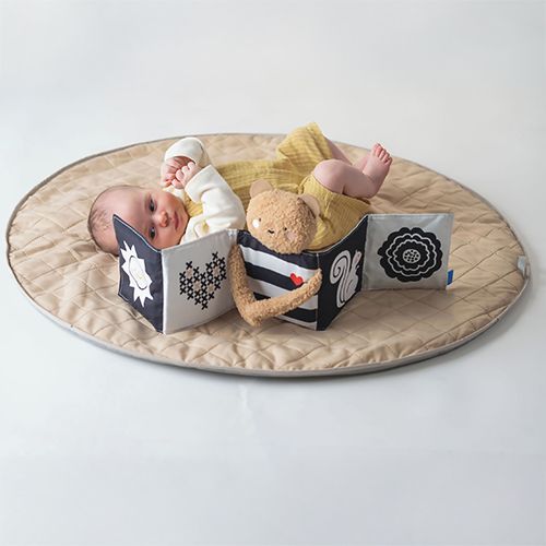 Taf Toys Snuggle Bear Book