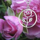 Glenna Mackintosh Rose Collection