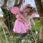 Sparkle Flower Fairy Sets