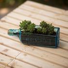 Upcycled Bottle Planters – Microgreen & Self‑Watering Range