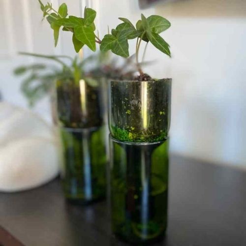 Upcycled Bottle Planters – Microgreen & Self‑Watering Range