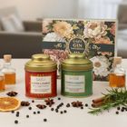 Botanical Infusion Gift Boxes – Natural Drink Blends for Cocktails & G&Ts