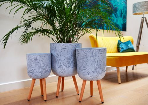 Tropical Indoor Planter on Legs