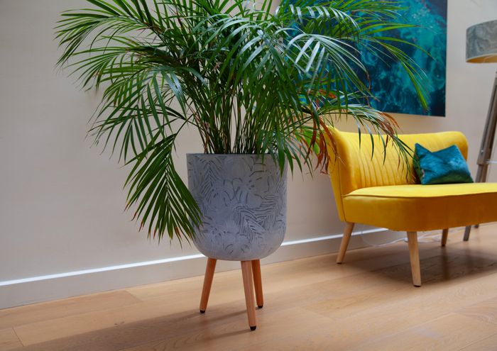 Tropical Indoor Planter on Legs