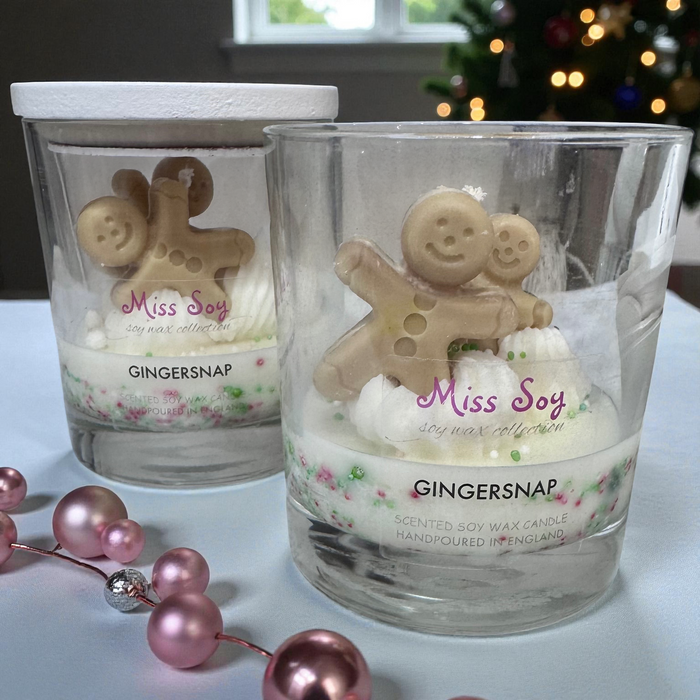 soylicious candle collection