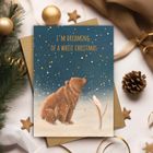 Christmas Card Collection