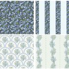 Forget Me Not Collection