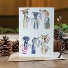 Happy Birthday Whippet Card