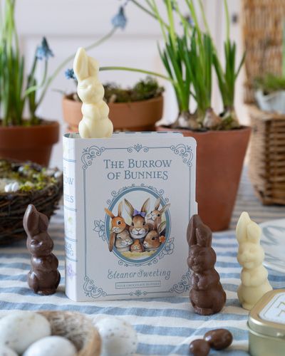 The Burrow of Bunnies