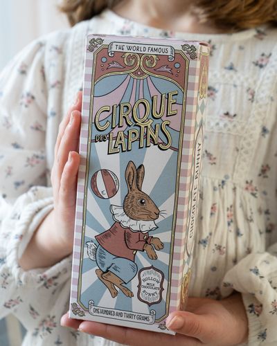 The Circus Bunny