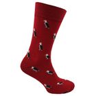 Male, Female and Kids' Socks