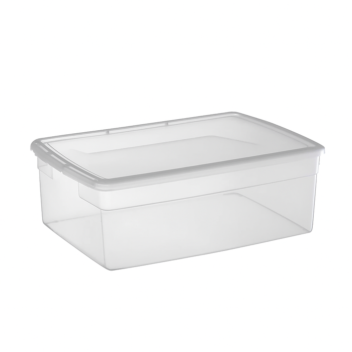Clear Storage Box with Lid