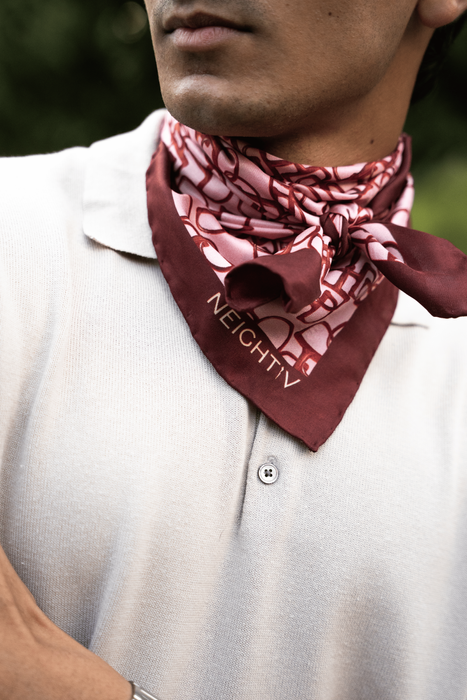 Bits in Harmony in Pink Silk Scarf