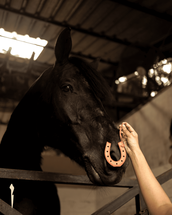 Horse Shoe Charm