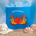 Shine, featured card: SQ139