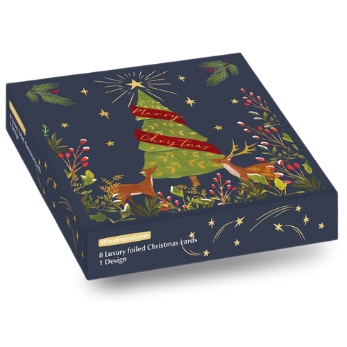 2026 Luxury Christmas card boxes