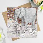 Safari Greeting Cards