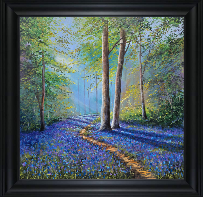 Amongst the Bluebells - Limited Edition Print - Woodland Landscape