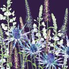 New Greeting Cards For 2026.