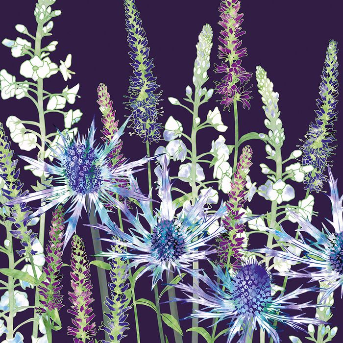 New Greeting Cards For 2026.