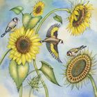 Kate Green greeting cards range