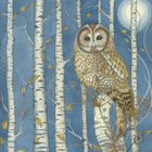 Kate Green greeting cards range