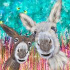 Lia Contrino greeting cards range