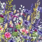 Fiona Calder greeting cards range