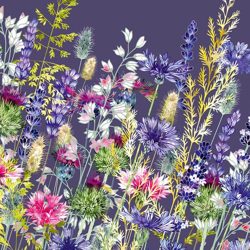 Fiona Calder greeting cards range