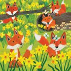 Kay Widdowson greeting cards range