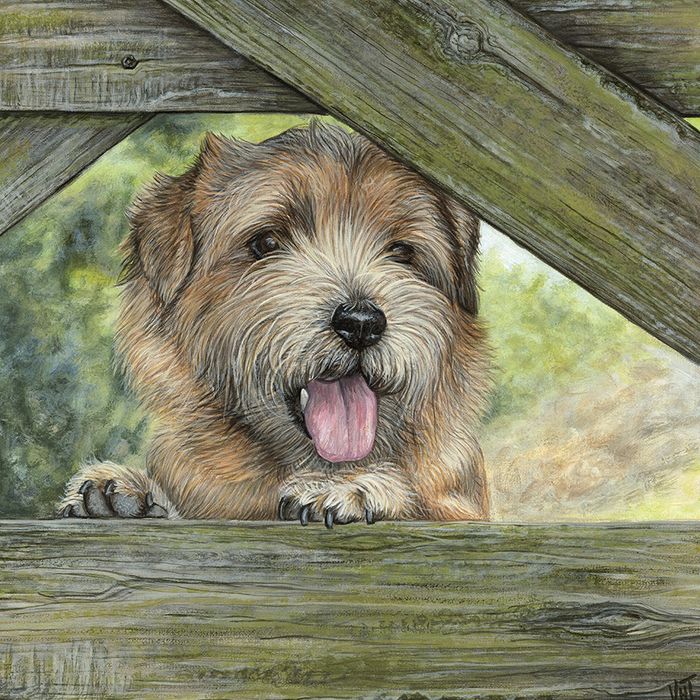 Vicky Tucker greeting cards range