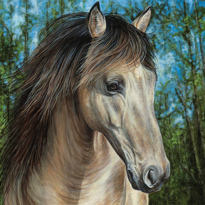 Vicky Tucker greeting cards range