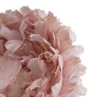 Artisan Surge Headwear