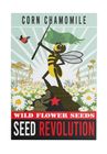 Corn Chamomile
