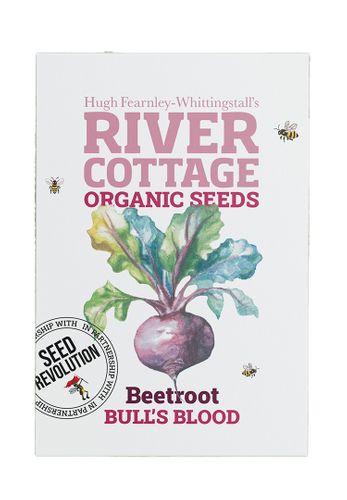 Beetroot Bull's Blood