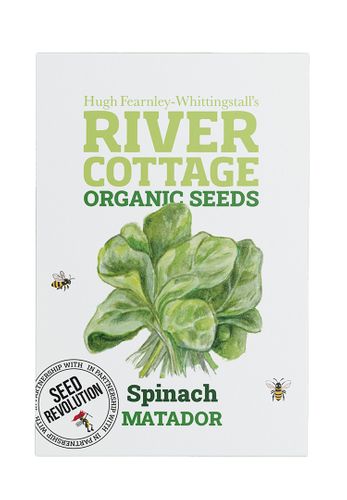 Spinach Matador