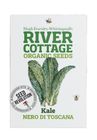 Organic Kale