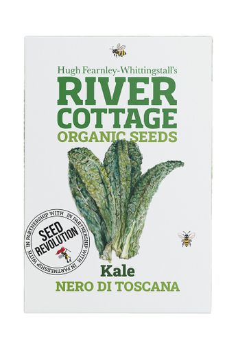 Organic Kale