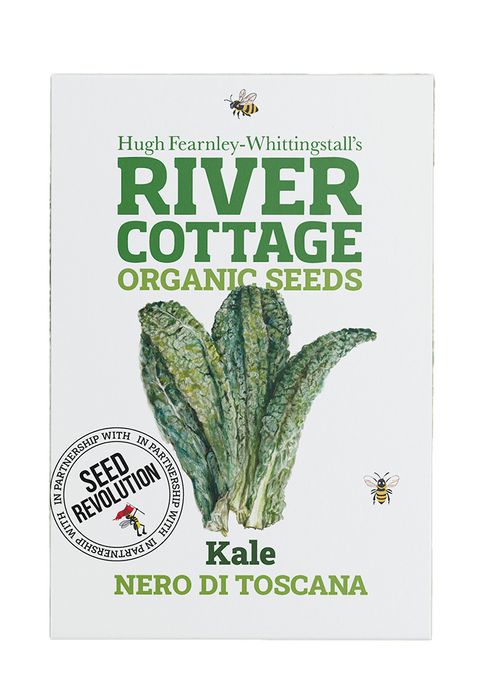 Organic Kale