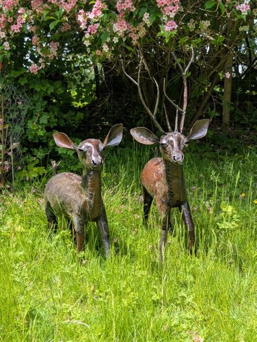 Pair  of Deer,  GardenArtz