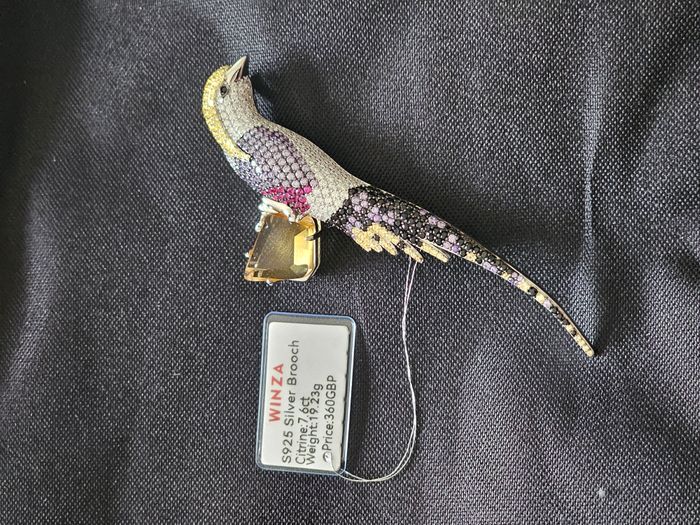 Gold Plated Silver Brooches with Semi-Precious Stones